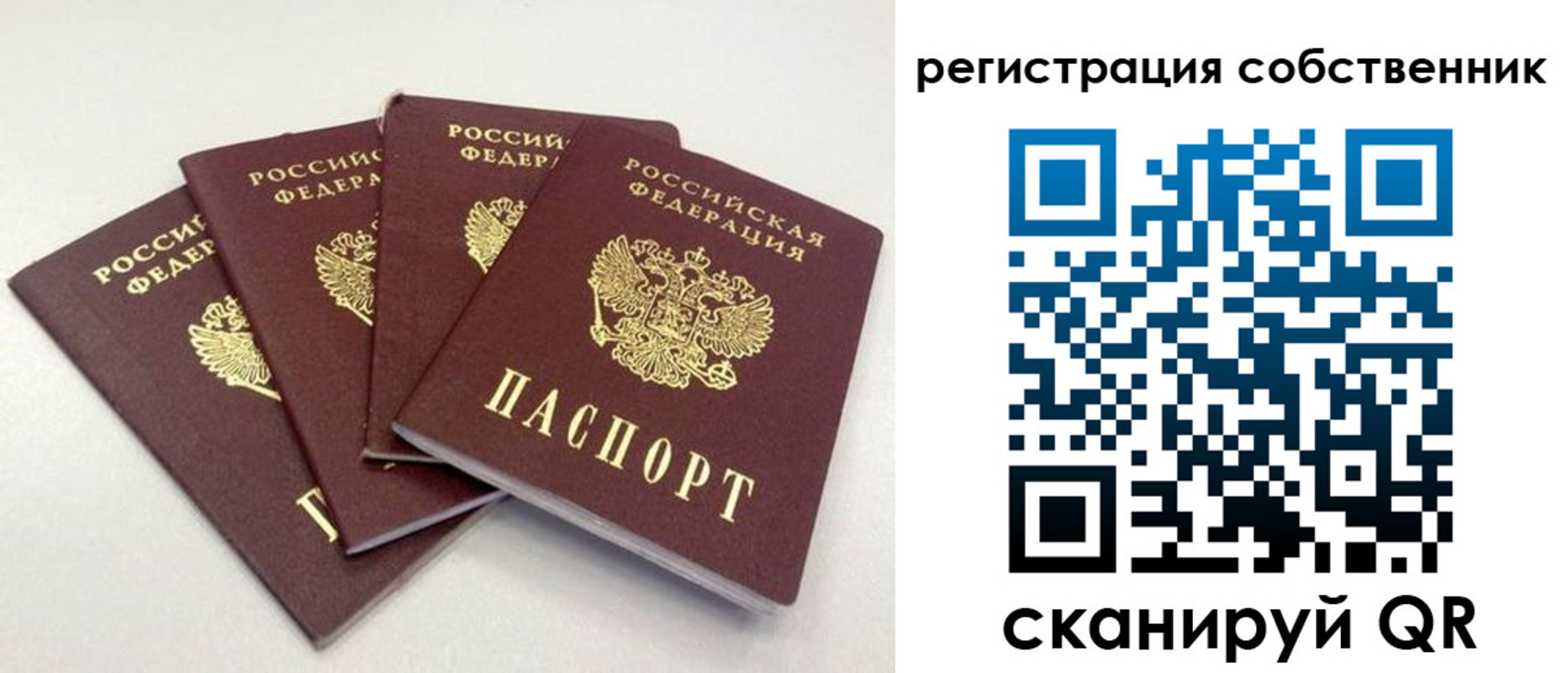 прописка для школы в Петровск-Забайкальском